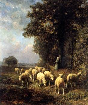 Sheep 144